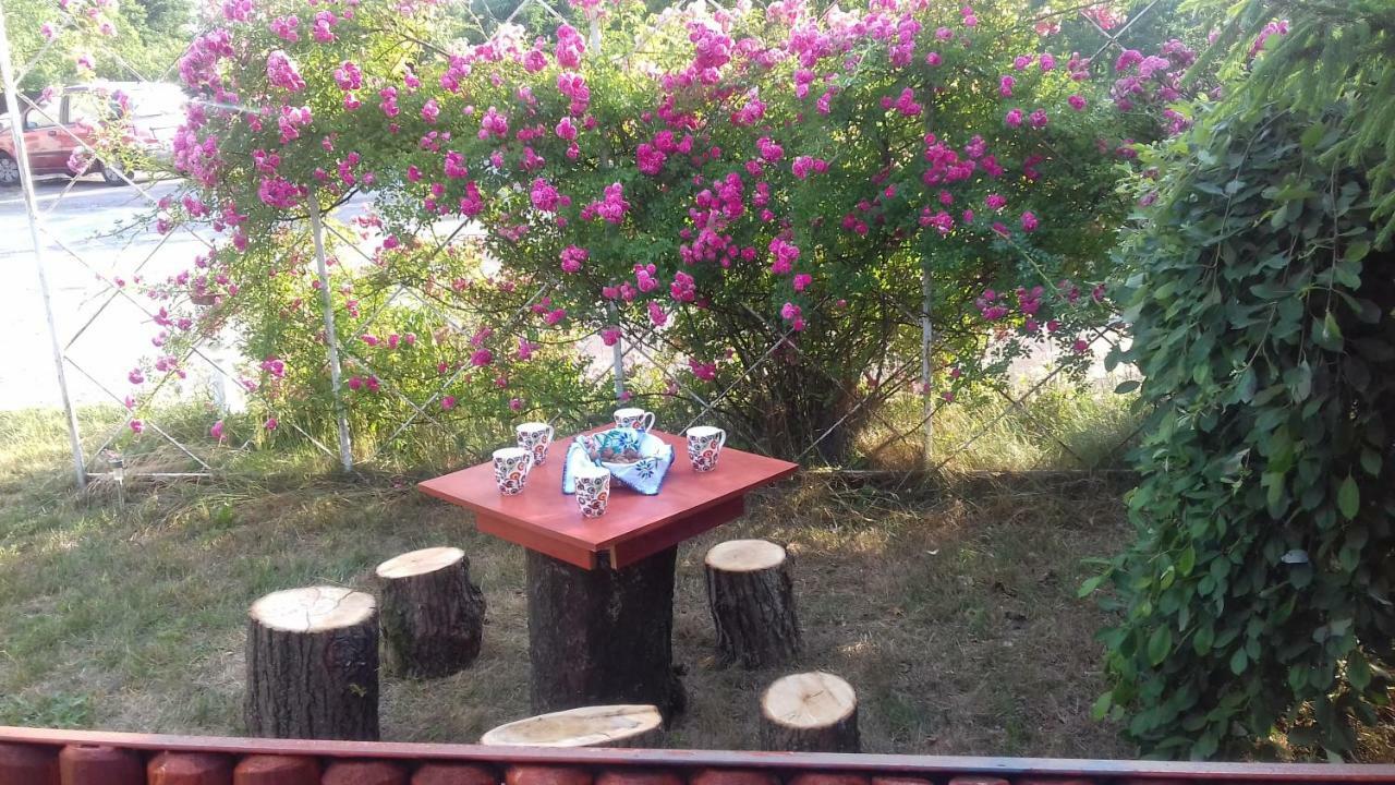 Apartamento Dom Na Ludowo W Brzeznicy Brzeznica  Exterior foto